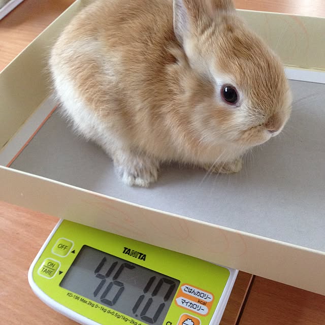 usa_cheeseさんの実例写真