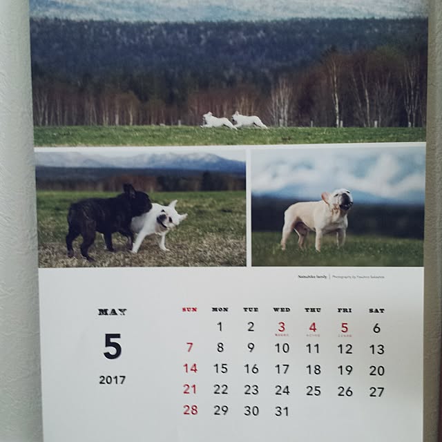 yukoさんの実例写真