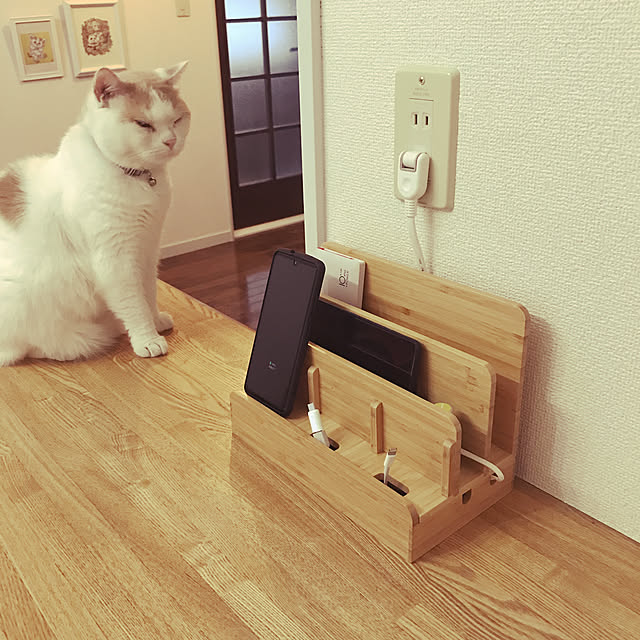amutantanさんの実例写真