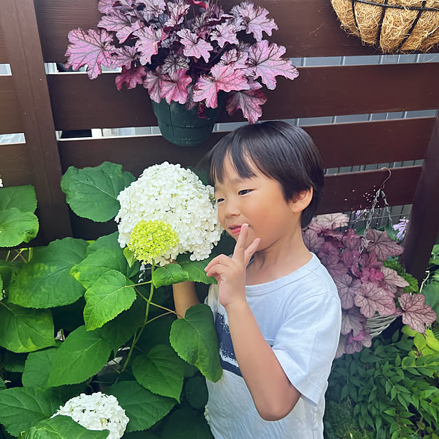 hinamamaさんの実例写真