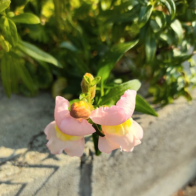 kiraさんの実例写真