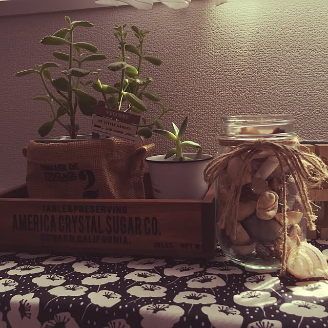 YOSHIEさんの実例写真