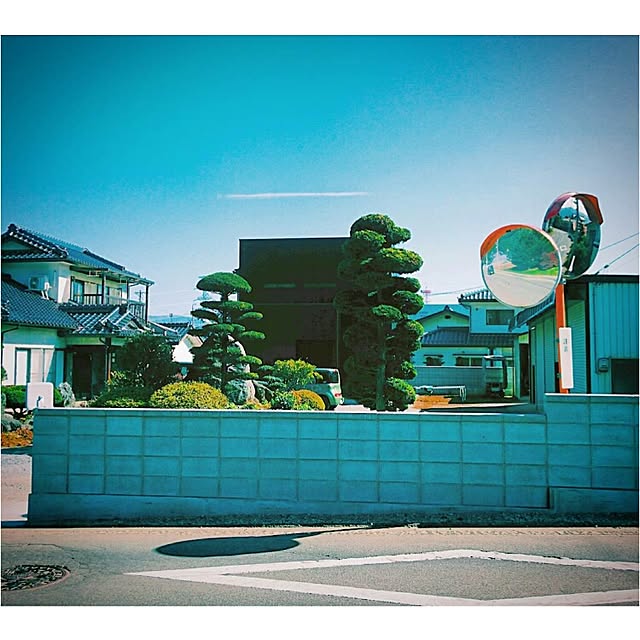 Ayumiさんの実例写真