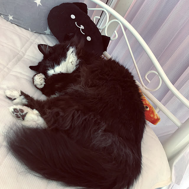 kanaさんの実例写真