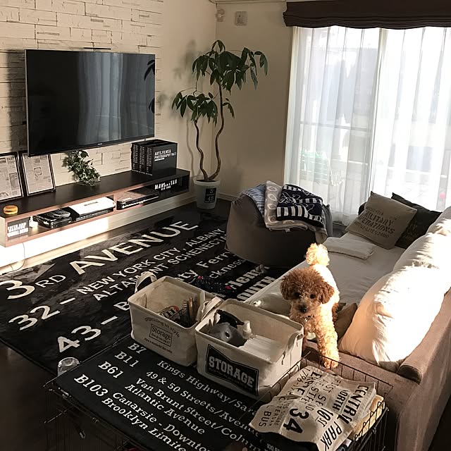 Rlovesyucaさんの実例写真