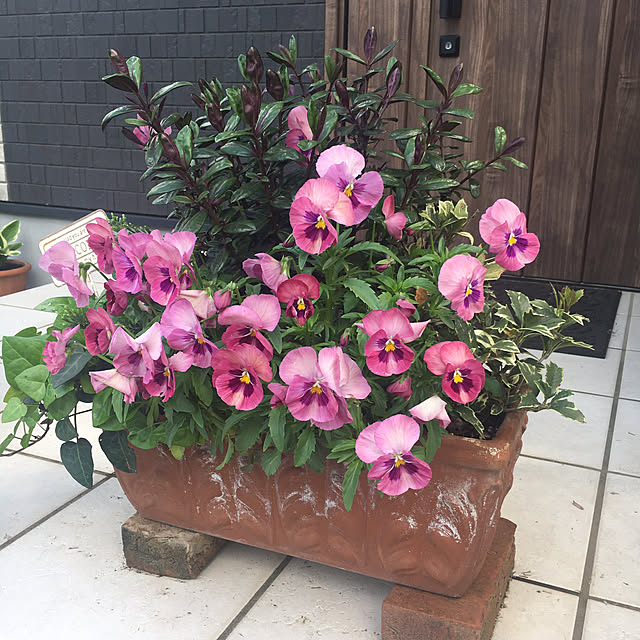 s.hatchさんの部屋
