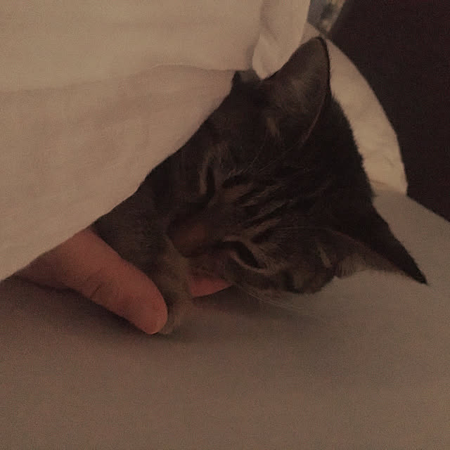 Mさんの実例写真