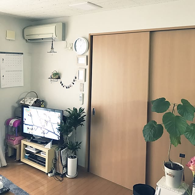 powakyonさんの実例写真