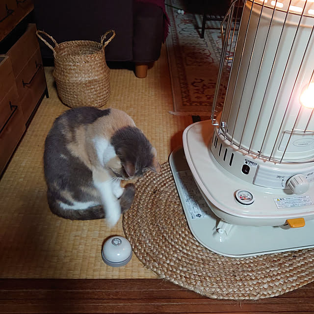 fukuさんの実例写真