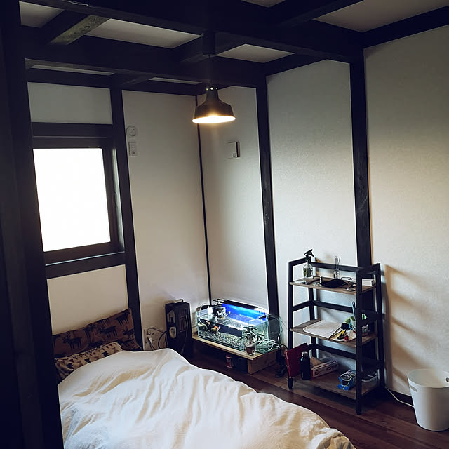 haekaelさんの実例写真