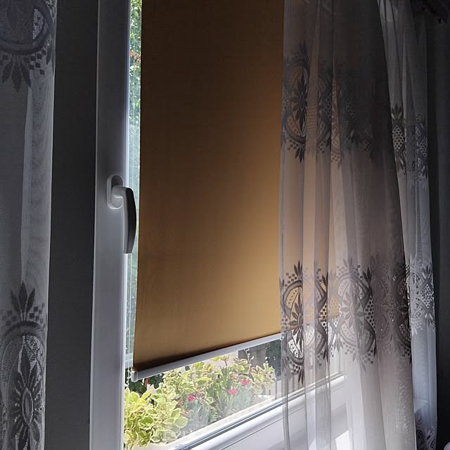 fuszliさんの部屋