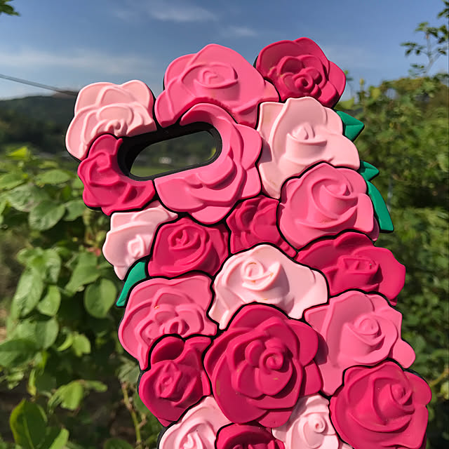 sakurasakuさんの実例写真