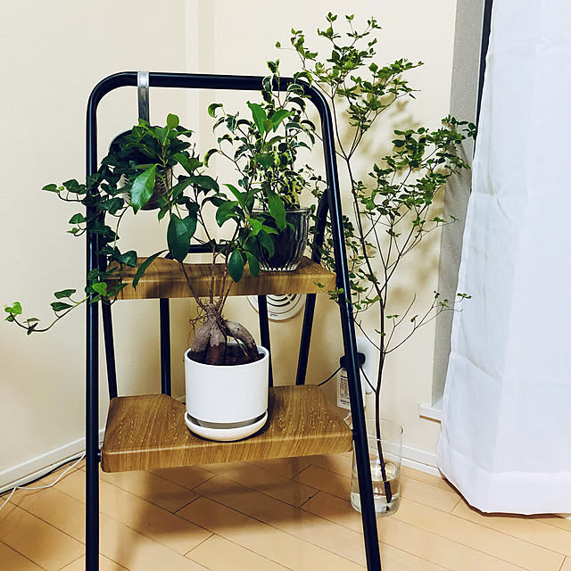 takaさんの実例写真