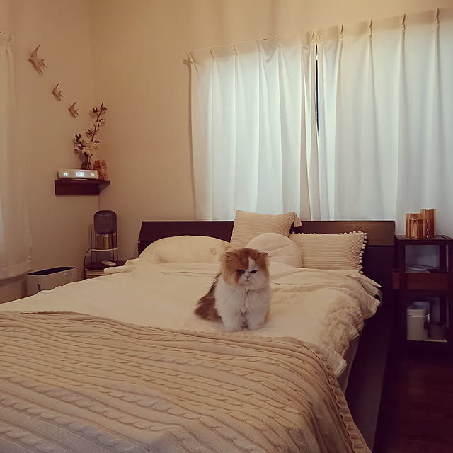 amutantanさんの実例写真