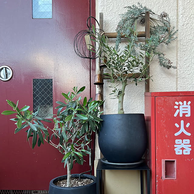 Kuniさんの部屋