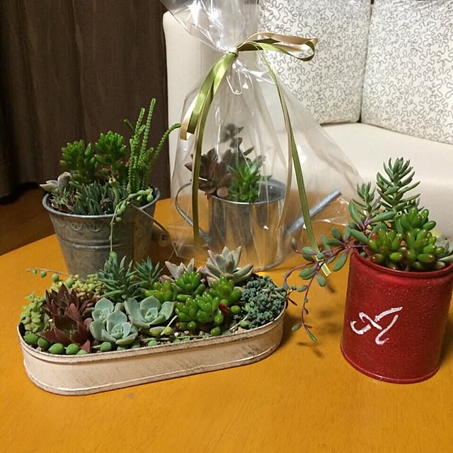 Jackyさんの実例写真