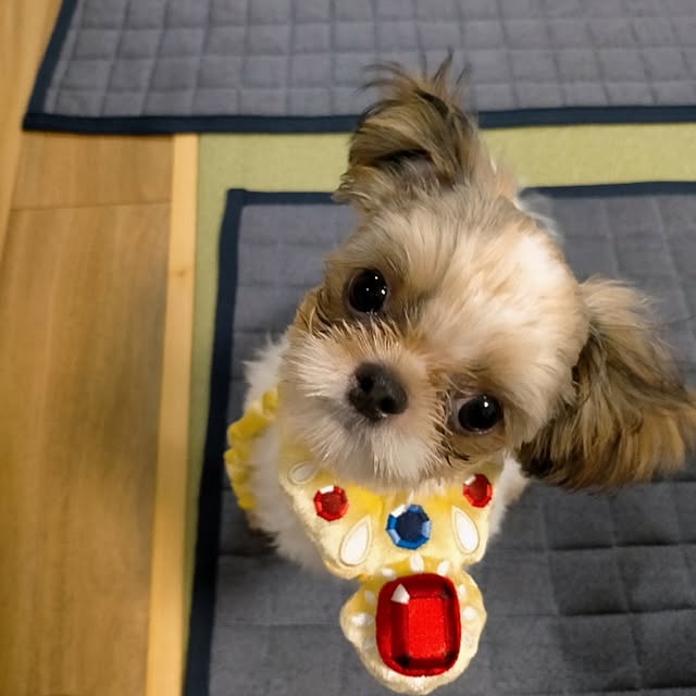 maryさんの実例写真