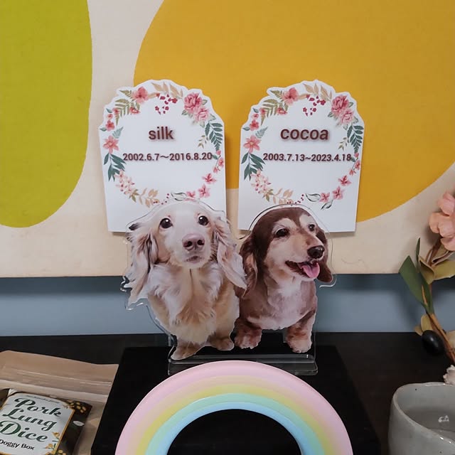 chocococoaさんの部屋