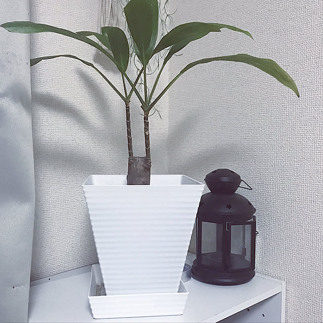 nonkichiさんの実例写真