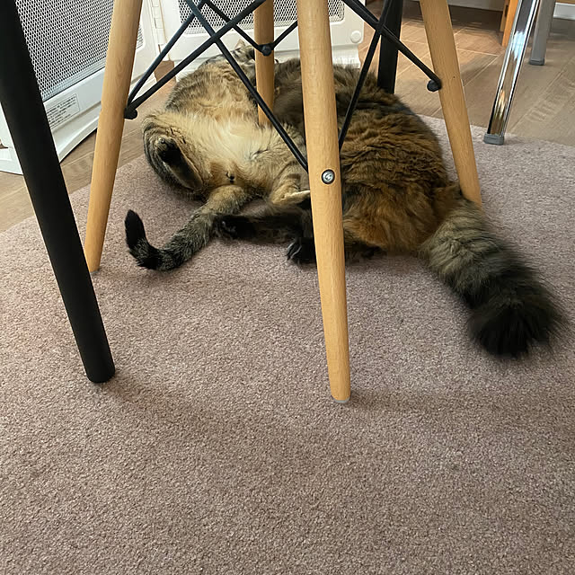 mikomaruさんの実例写真