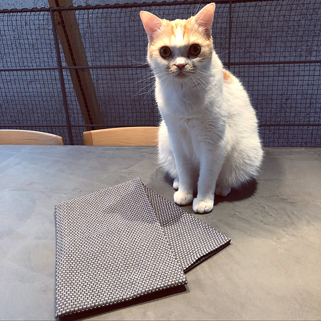 makimakiさんの実例写真