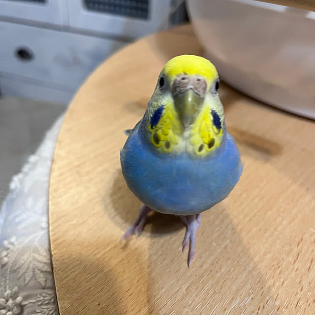 Atsukoさんの部屋