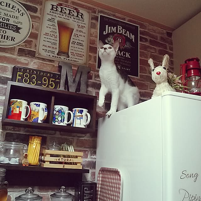 kamekoさんの実例写真