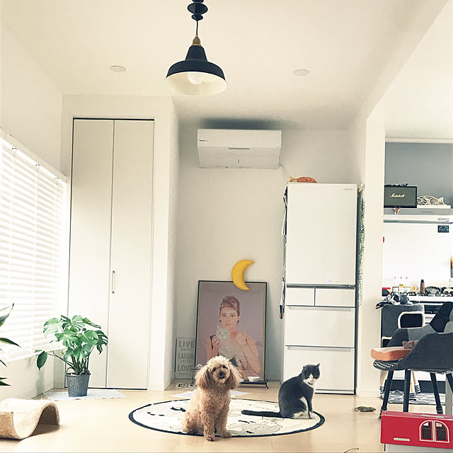 mapleさんの実例写真