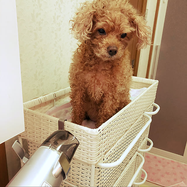 haruminさんの実例写真