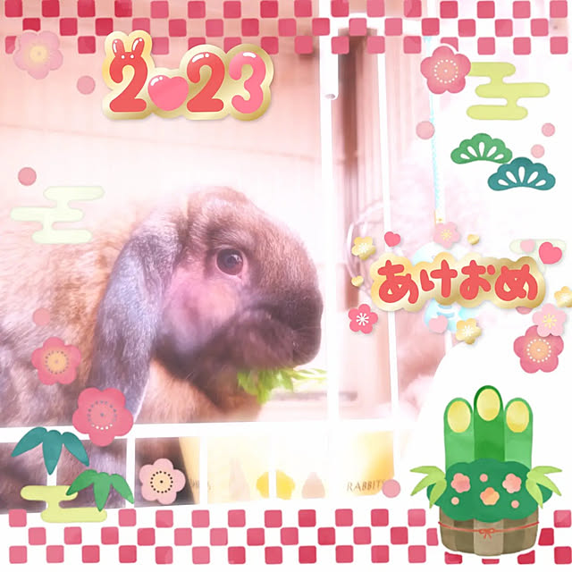 mariaさんの実例写真