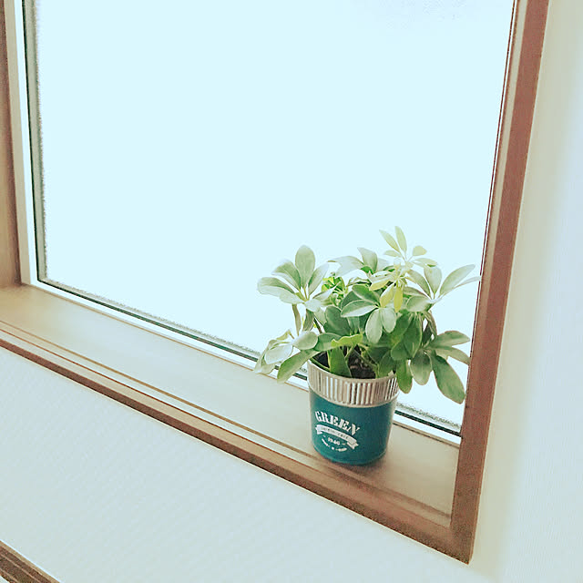 kakakaoooruさんの実例写真