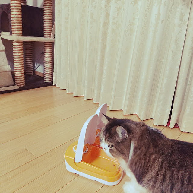 yk88さんの実例写真