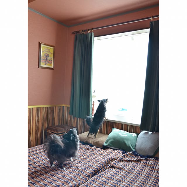 hitomixさんの実例写真