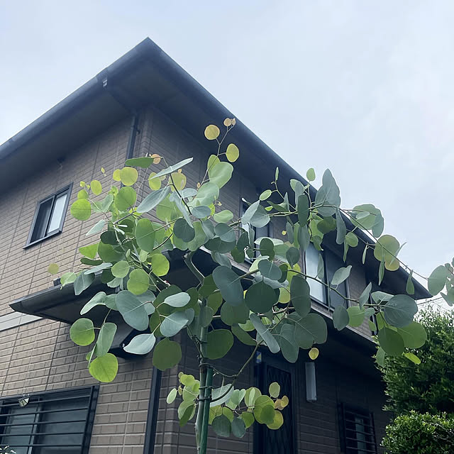 Ohigeさんのお部屋の写真