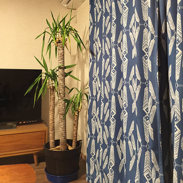 kamoさんの実例写真
