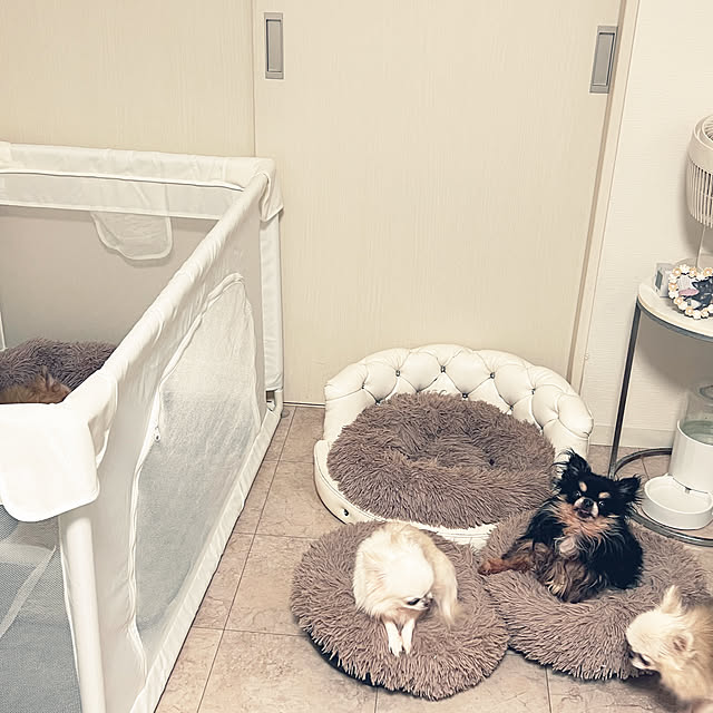 meuさんの実例写真