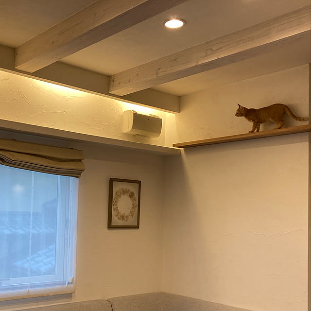 Shintaさんの実例写真