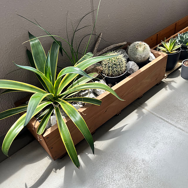 yukiさんの部屋