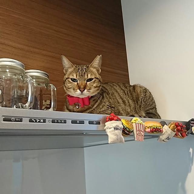 poniさんの実例写真