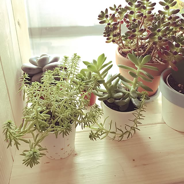 yuccoさんの実例写真