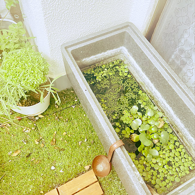 akarichanさんの実例写真