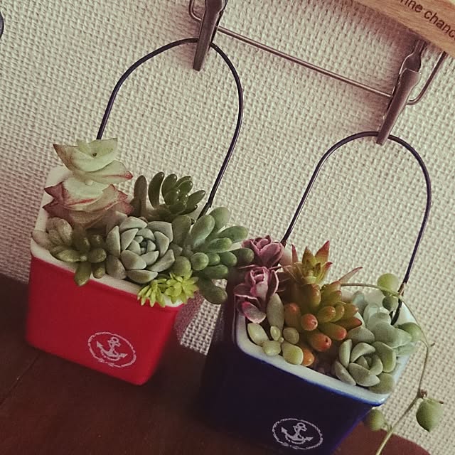 rookier05さんの実例写真