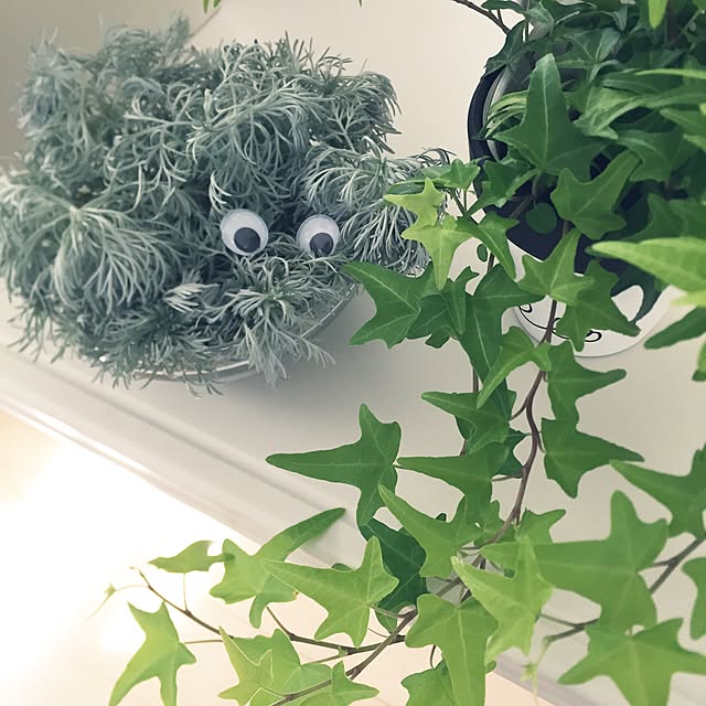 pariさんの実例写真