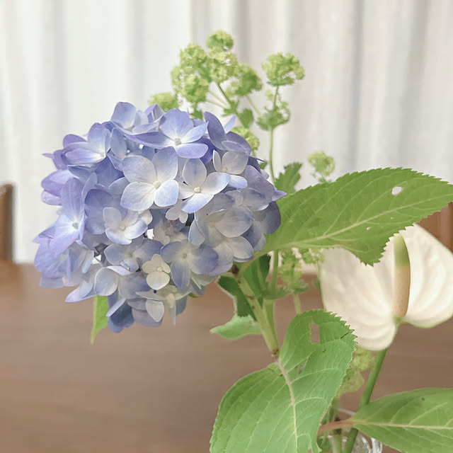 yuukiさんの部屋