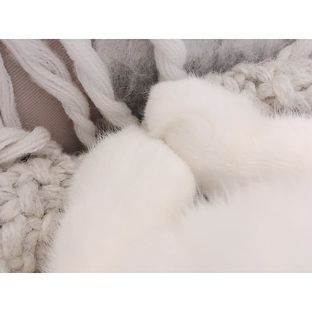 warashibeさんの実例写真