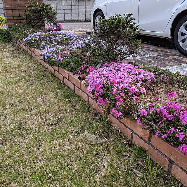 kouheiyuto24623takaさんの実例写真