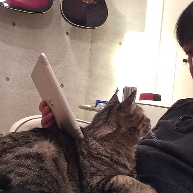 AkiOgawaさんの実例写真