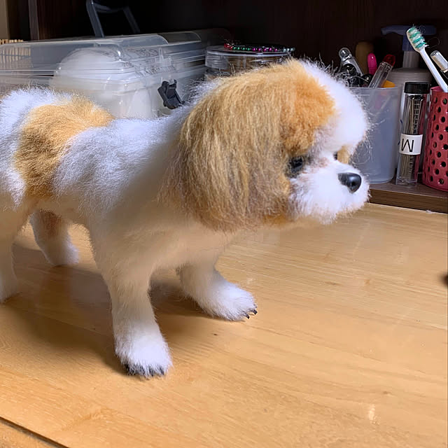 toytoypoohさんの実例写真