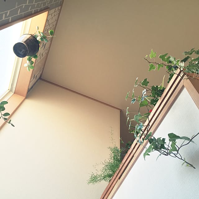 risaさんの実例写真