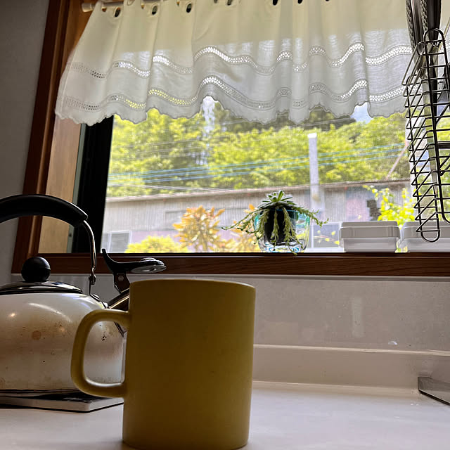 Attaさんの部屋